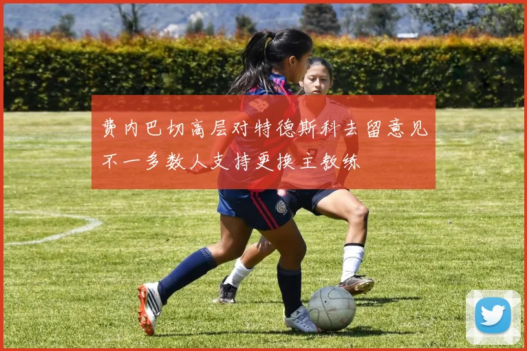 费内巴切高层对特德斯科去留意见不一多数人支持更换主教练