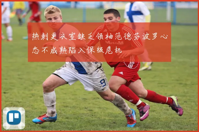 热刺更衣室缺乏领袖范德芬波罗心态不成熟陷入保级危机