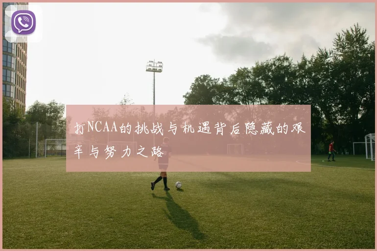 打NCAA的挑战与机遇背后隐藏的艰辛与努力之路
